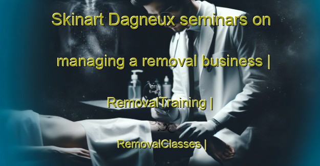 Skinart Dagneux seminars on managing a removal business | RemovalTraining | RemovalClasses | SkinartTraining-France